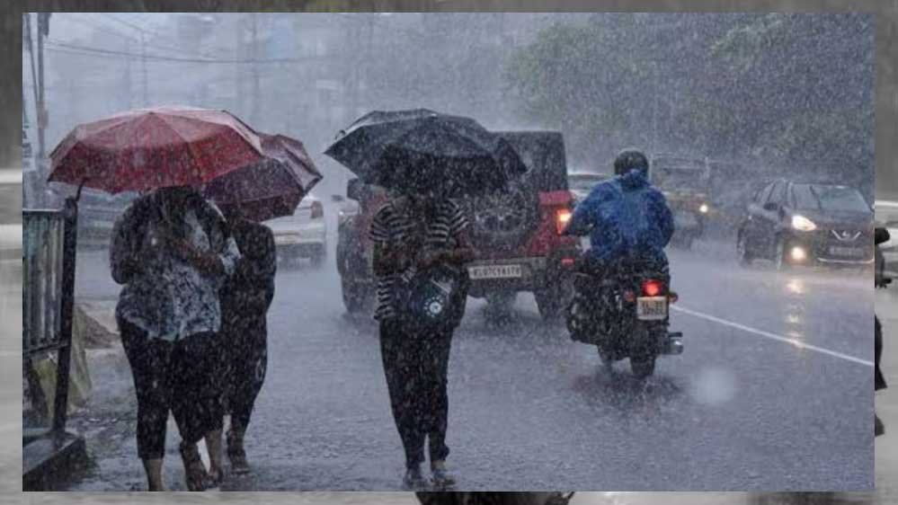 rain_A_53_3-2.jpg