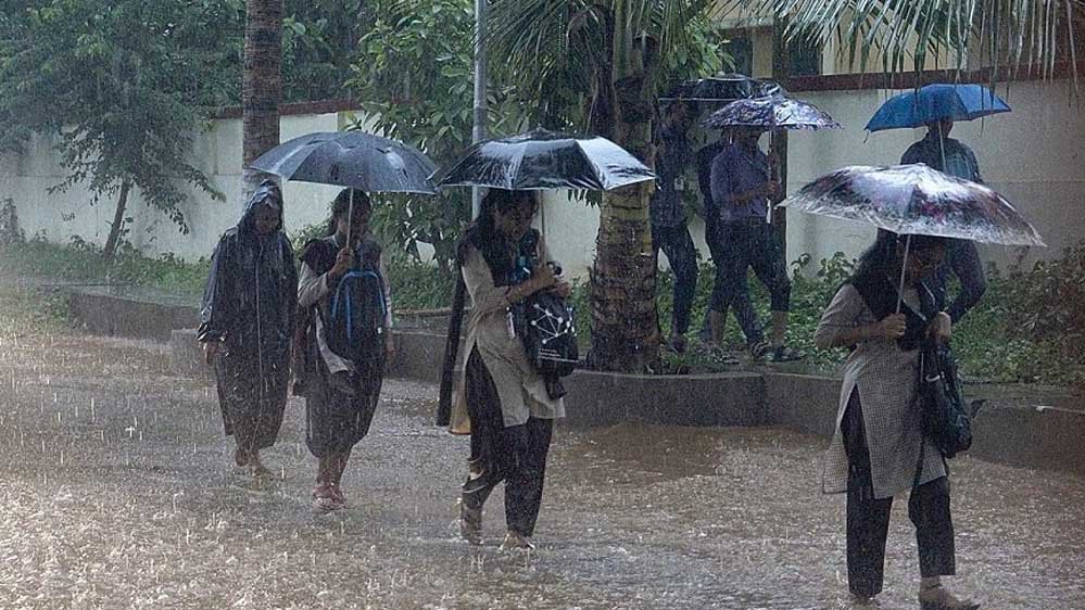 rain_A_53_7-1.jpg