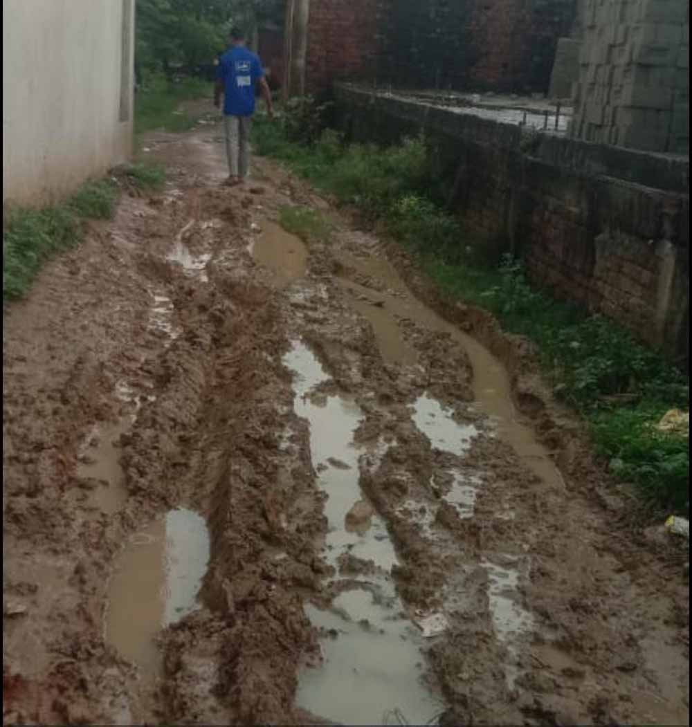 singroli-4.jpg