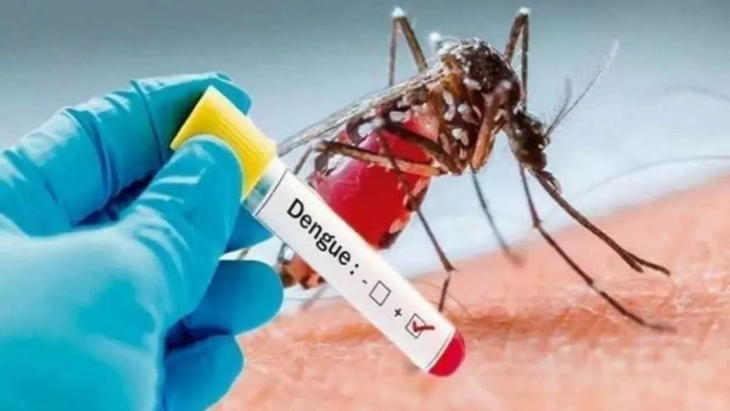 12_09_2023-dengue_23528637-1024x576