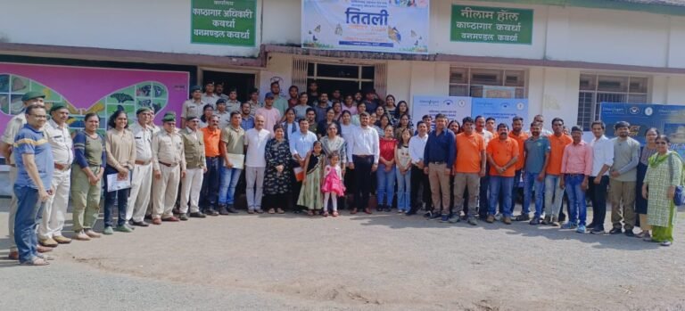 CG : भोरमदेव अभयारण्य में मौजूद हैं तितली की 80 से ज्यादा प्रजातियां…