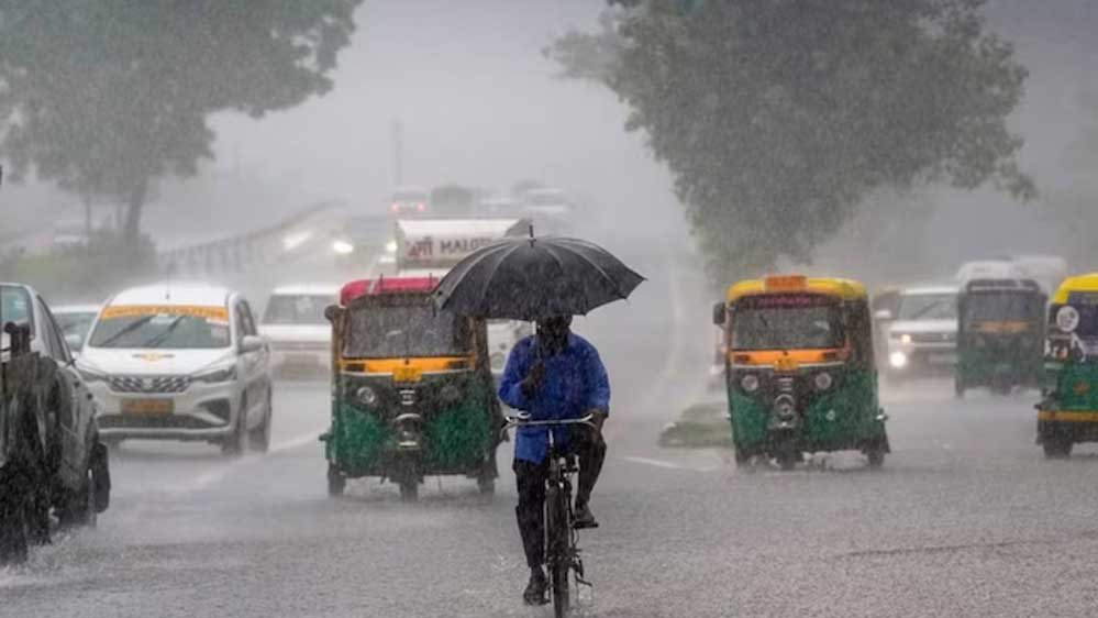 rain_A_53_1.jpg