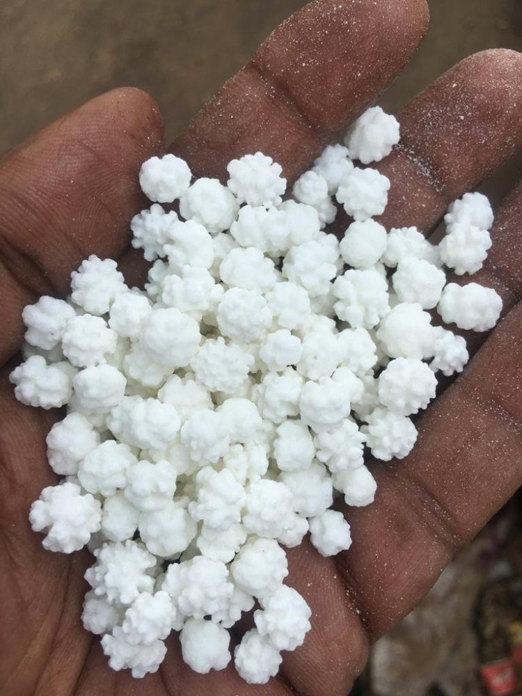 ILACHI DANA