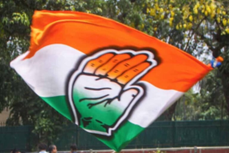 cong-6.jpg