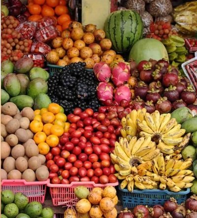 20241116083620_health2