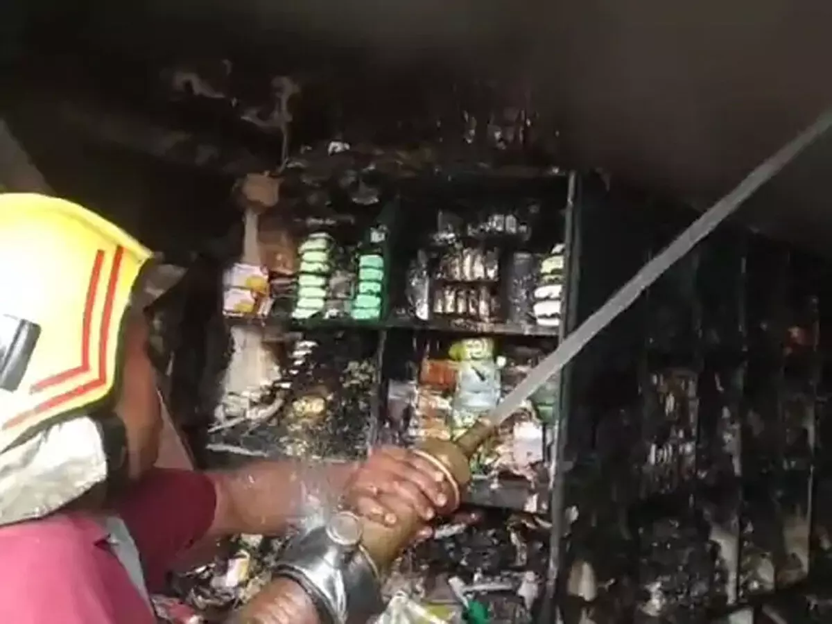 4133462-fire