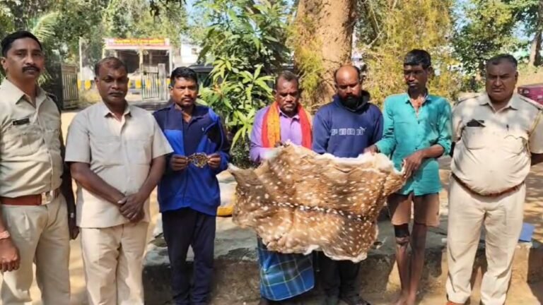 mahasamund-crime-1