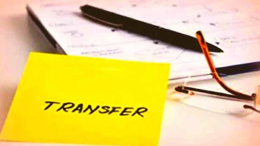 transfar-1.jpg