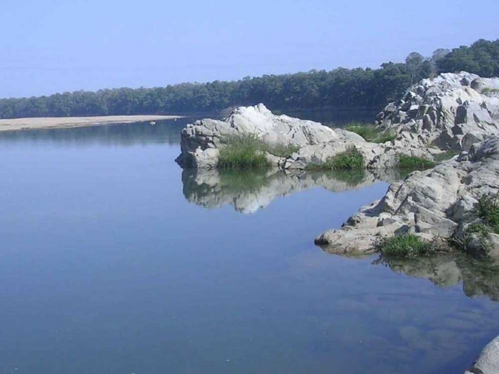 1-1050.jpg