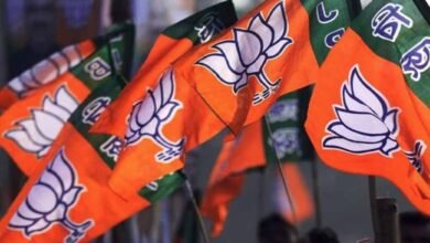 bjp01-1.jpg