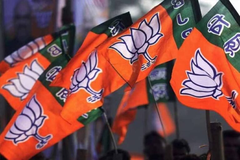 bjp01-1.jpg