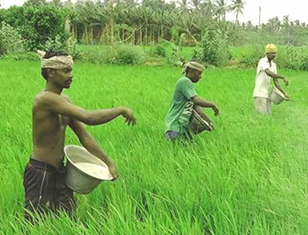 kisan-4.jpg