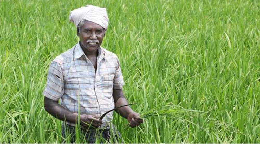 kisan-5.jpg