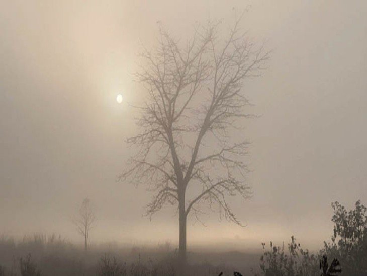 orig_48-1_1638221038