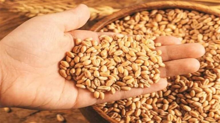 kisan-6.jpg