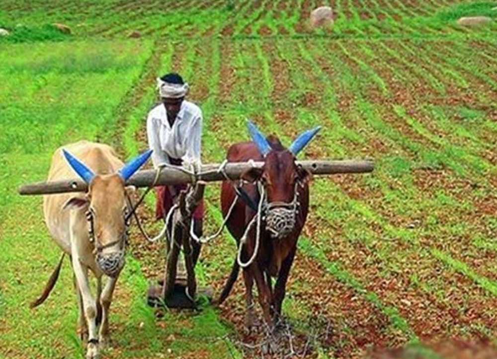 kisan.jpg