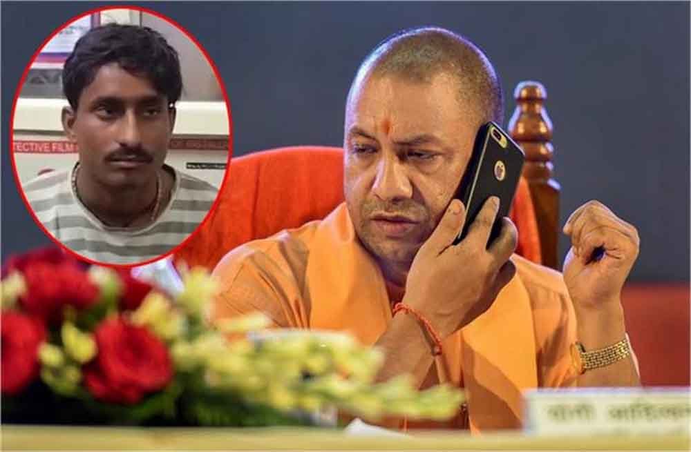 yogi-5.jpg