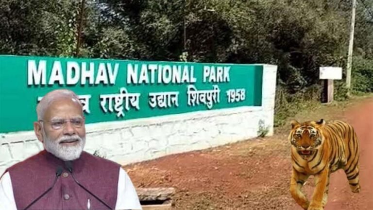 madhav.jpg