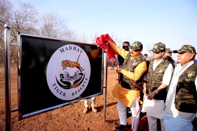 madhav_tiger.jpg