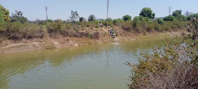 narmada.jpg