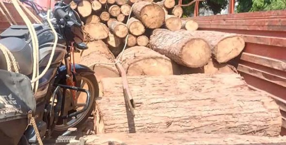 20250430113504_5