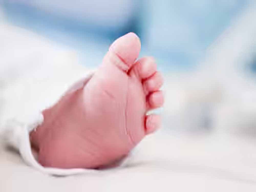 baby-3.jpg