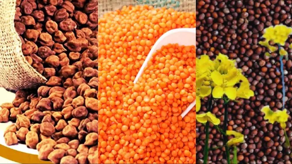 chana.jpg