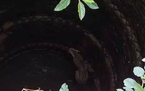 04