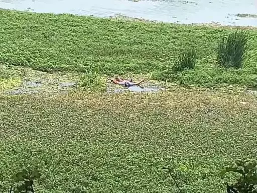 CG : जलकुंभी में लिपटा मिला शव, इलाके में फैली सनसनी