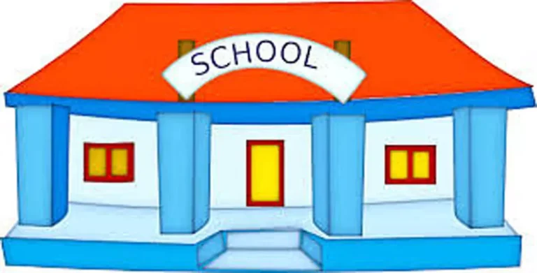 4635828-shool