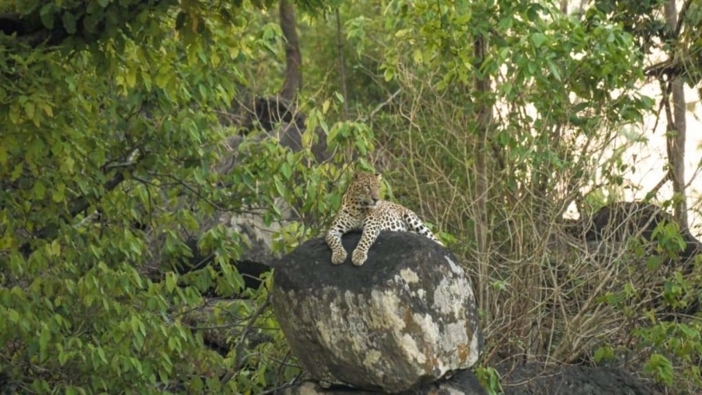 DONGARGARH-1024x576