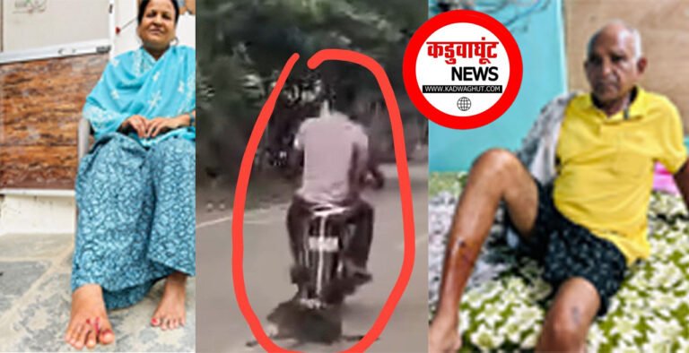Rajnandgaon: शांति नगर में आवारा कुत्ते का हमला, दो बुजुर्ग घायल, मोहल्ले में फैला डर....