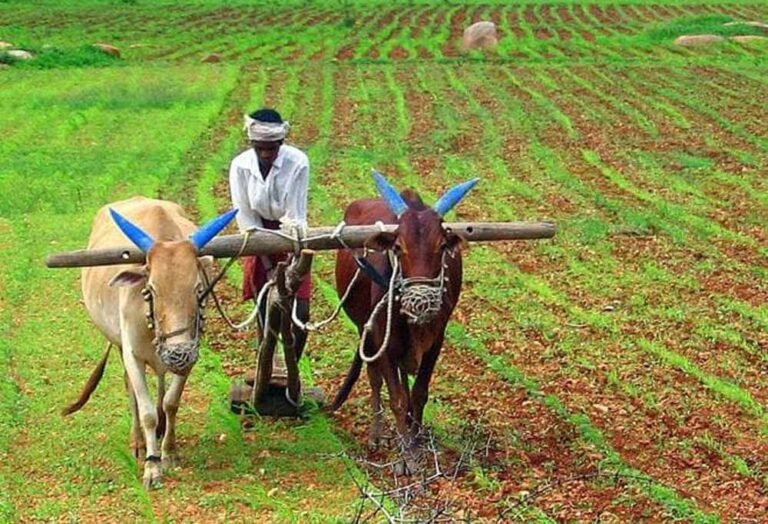 kisan1-2.jpg