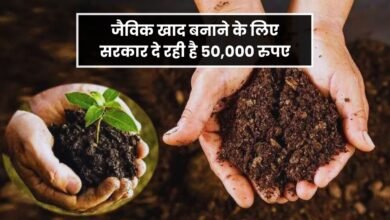 Organic Farming 2025