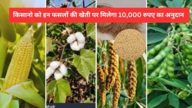 कृषक उन्नति योजना