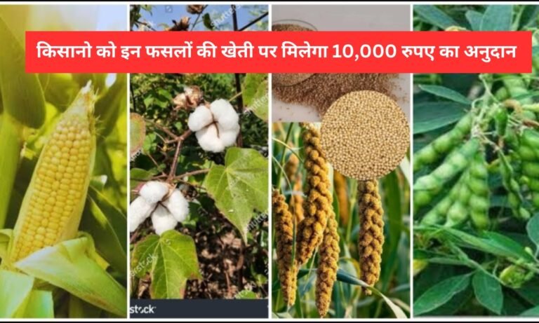 कृषक उन्नति योजना