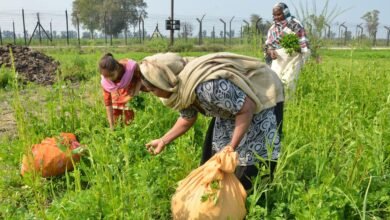 किसानों की बल्ले-बल्ले