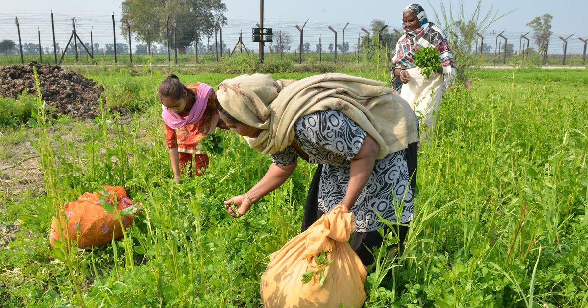 किसानों की बल्ले-बल्ले