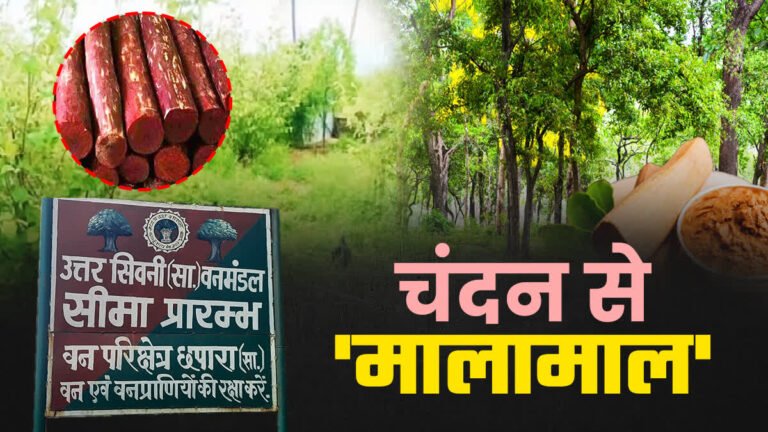 चंदन