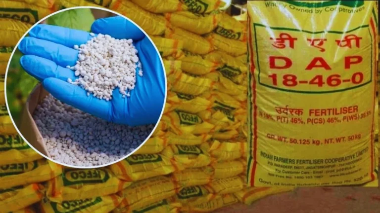 DAP Khad Yojana 2025