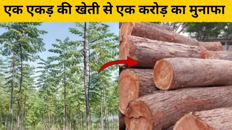 परंपरागत खेती