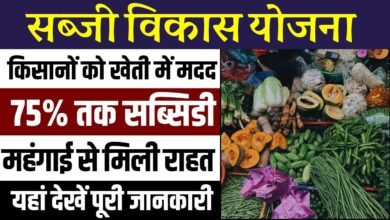 Sabji Vikas Yojana