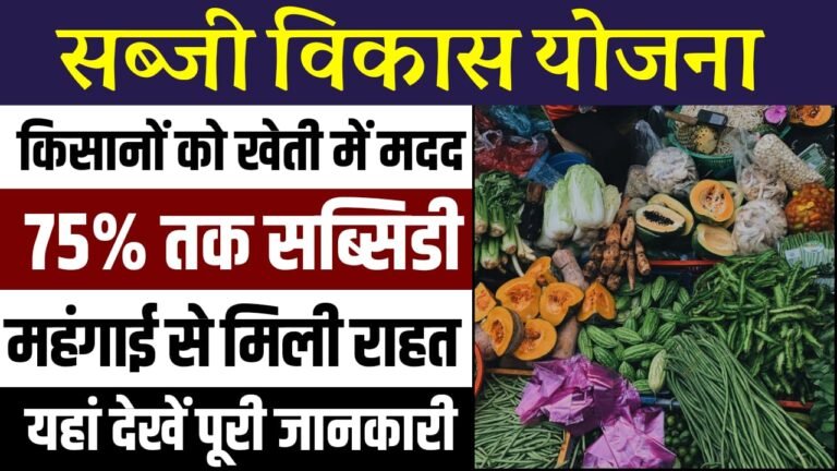 Sabji Vikas Yojana