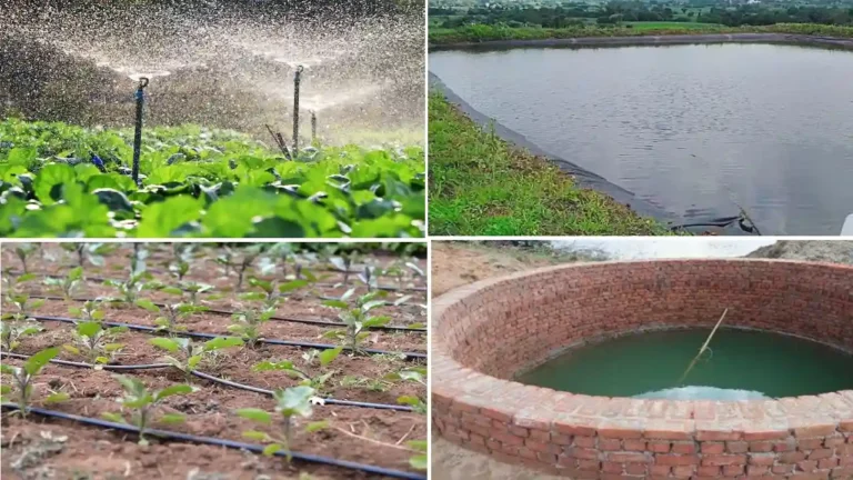 किसानो के लिए बड़ी सौगात