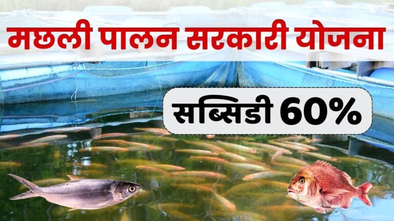 Fish Farming Loan Scheme