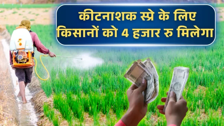 Pesticide Spray Subsidy