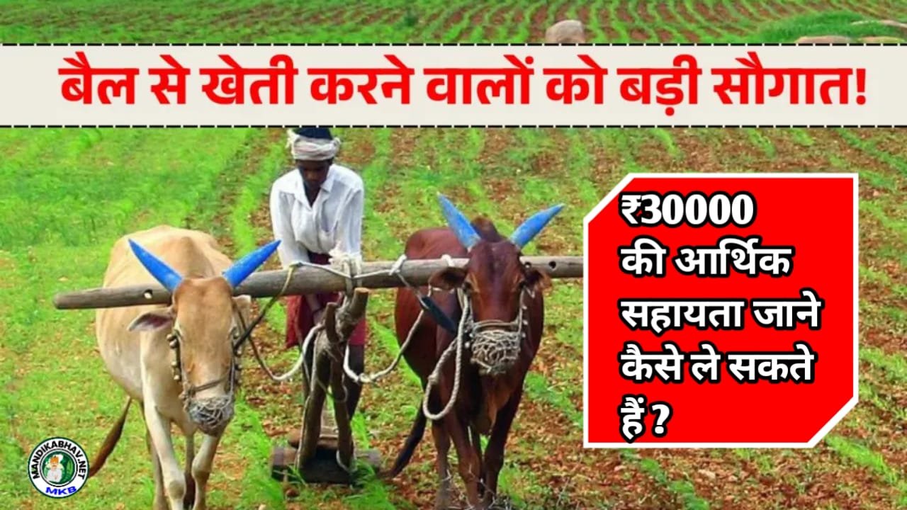 Agriculture Business Scheme 2025