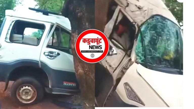 Rajnandgaon: ड्राइविंग लाइसेंस बनवाकर लौट रहे युवकों की कार दुर्घटनाग्रस्त, 2 महिलाएं भी घायल