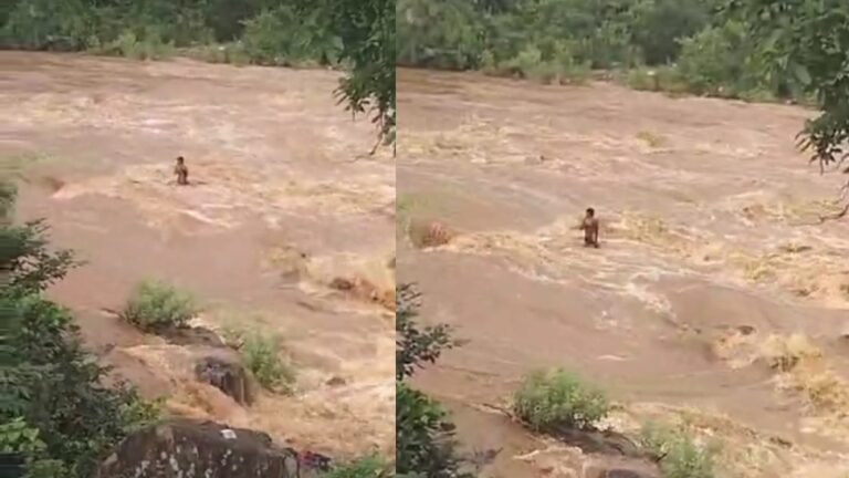 balrampur