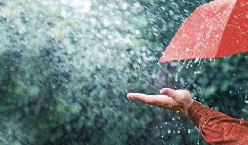 barish9.jpg